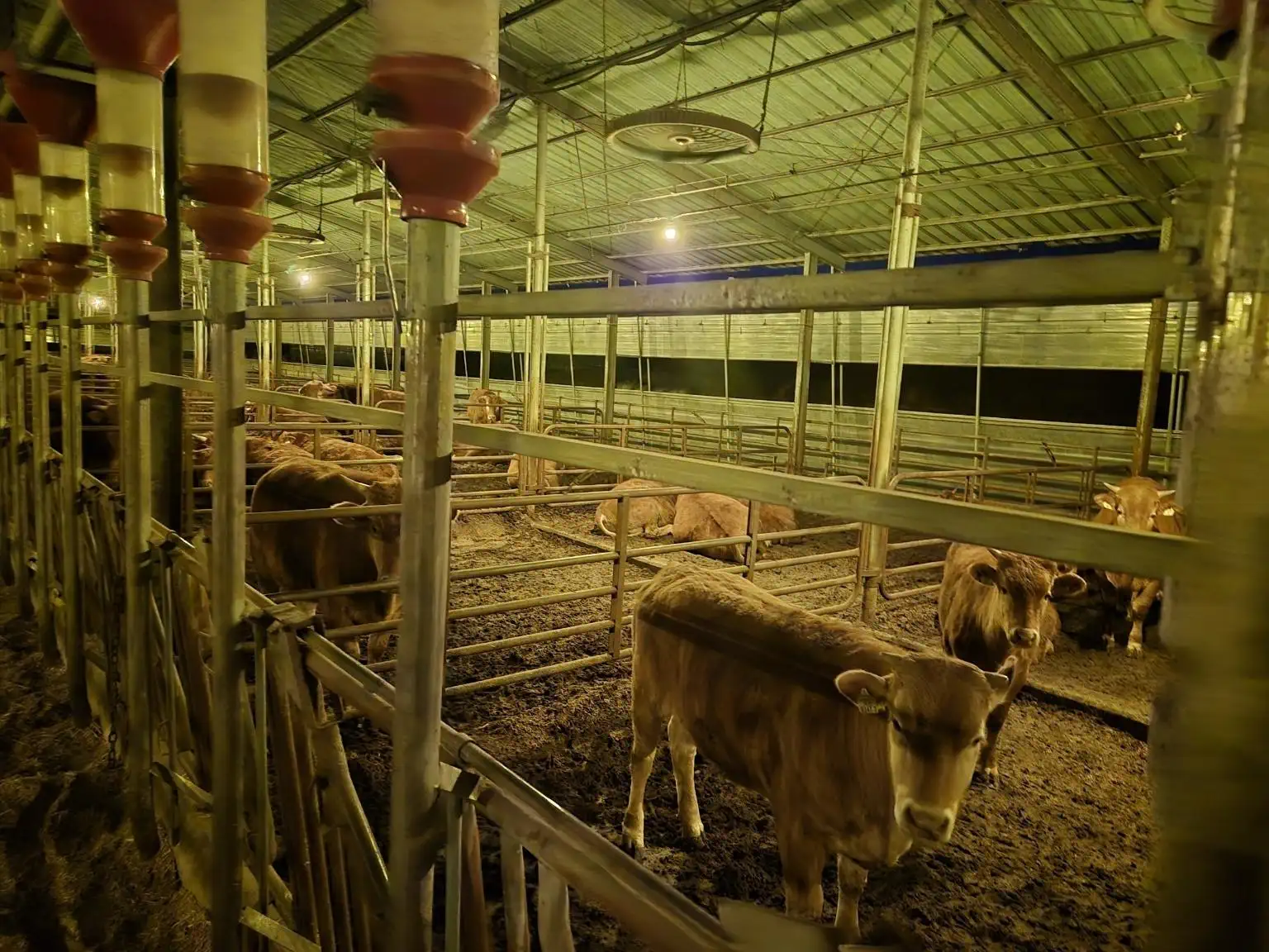 安装案例_韩牛农家（韩国金堤）