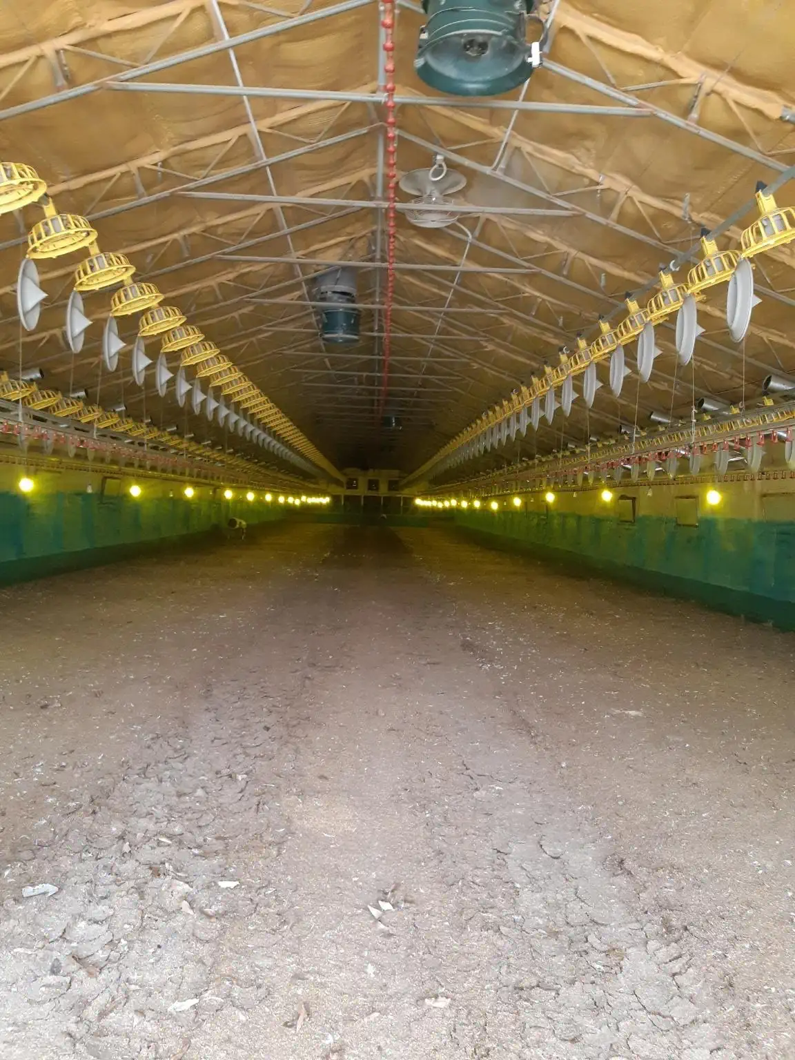 安装案例_韩国国内及海外养鸡厂