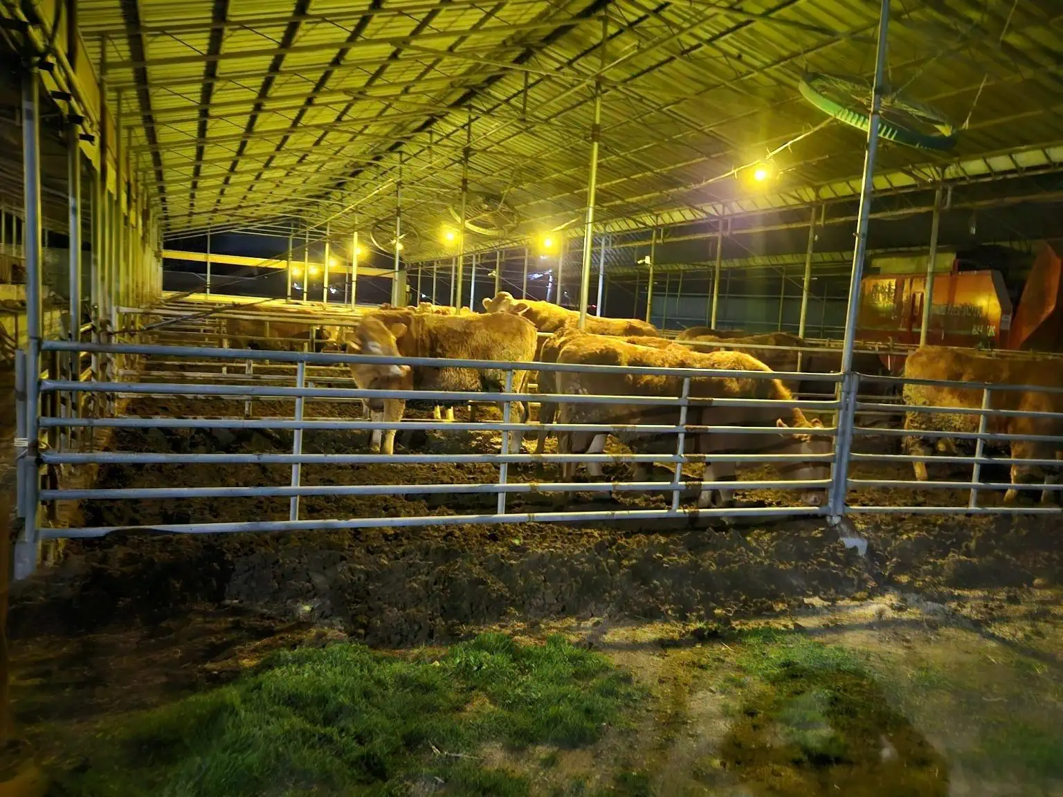 安装案例_韩牛农家（韩国论山）