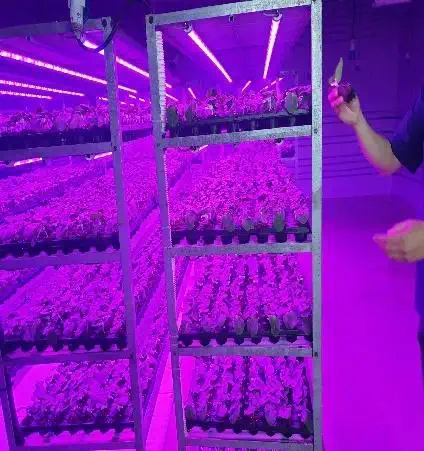 全北益山 _LED 灯管